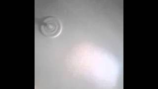 seen and gone (cover) Kultiration