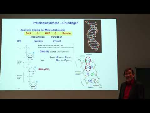 Schnuppervorlesung Zellbiologie: Ribosomen und Proteinbiosynthese Teil 1