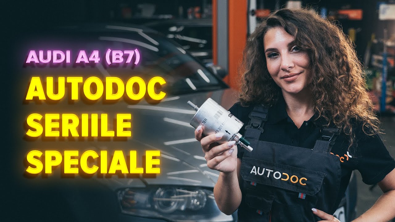 Cum să schimbați: filtru combustibil la Audi A4 B7 | Ghid de înlocuire