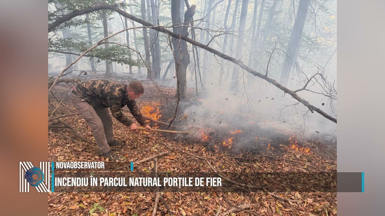 Incendiu în Parcul Natural Porțile de Fier