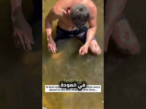 لن تصدّق علاقة هذا الرجل مع الأسماك التي أنقذها! 🐟❤️