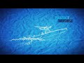 Trim Tabs Overview
