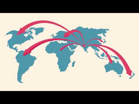 HNCO- Your partner with various competitive advantages