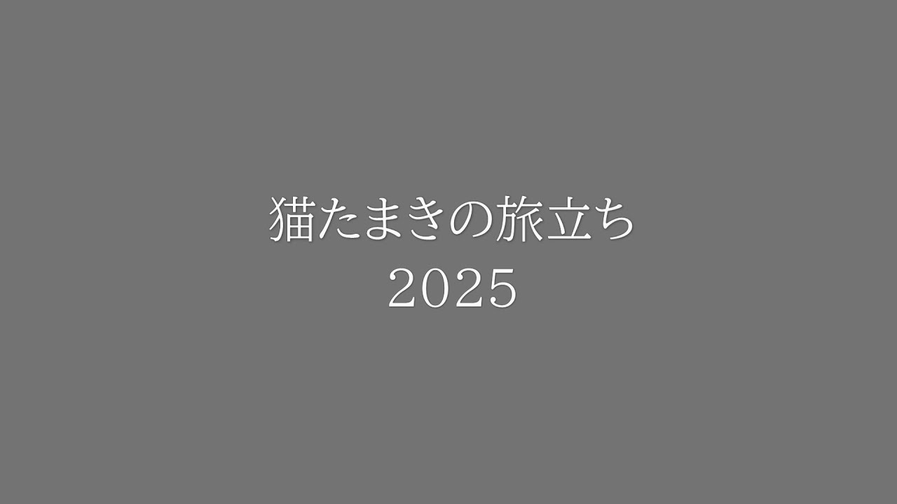 猫たまきの旅立ち