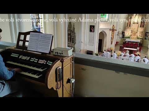 JKS 375 - Salve Regina