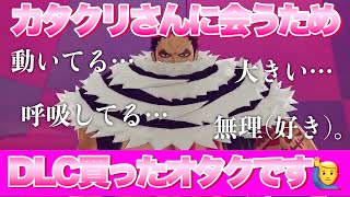 まったり実況プレイするよ～