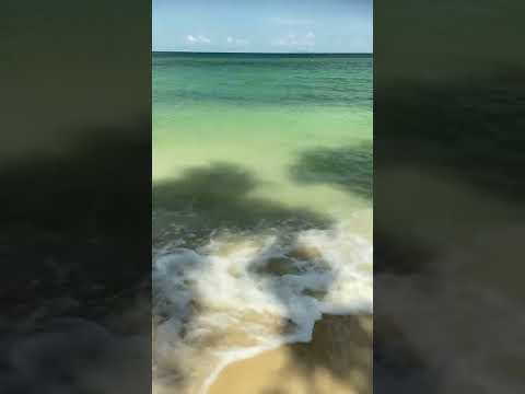 The sound of the sea waves captivating the mind #shorts - sanika bd