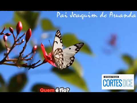 Cortes DcE #524 Formas-pensamento negativas e ressonância energética