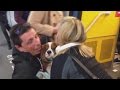 Dramatic Moment Dog Is Rescued From Train Tracks After Falling Down The Gap