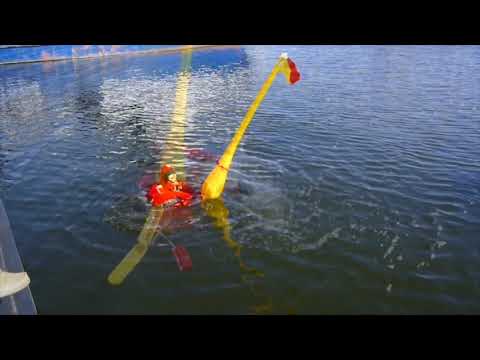 Automatic Danbuoy test