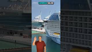 Dumb and Dumber on a cruise ship  #cruisenews #cruiselife #royalcaribbean  #iconoftheseas