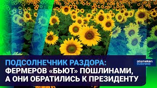 ПОДСОЛНЕЧНИК РАЗДОРА: ФЕРМЕРОВ «БЬЮТ» ПОШЛИНАМИ, А ОНИ ОБРАТИЛИСЬ К ПРЕЗИДЕНТУ