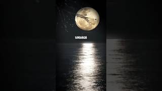 Download lagu UNDIPORADHEY🫵song🎧 mp3 Download lagu UNDIPORADHEY🫵song🎧 mp3