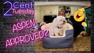 2 CENT Tuesday - Amazon Basic Pet Car Booster Review
