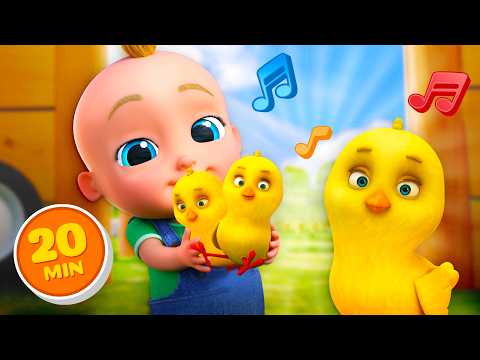 I pulcini fanno Pio Pio Pio 🐥 | 20 Minuti | Coccole Sonore & Loo Loo Kids