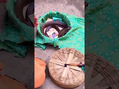 सांप का खेल || Childhood Memories 🐍 #pratyakshalife #shorts #youtubeshorts