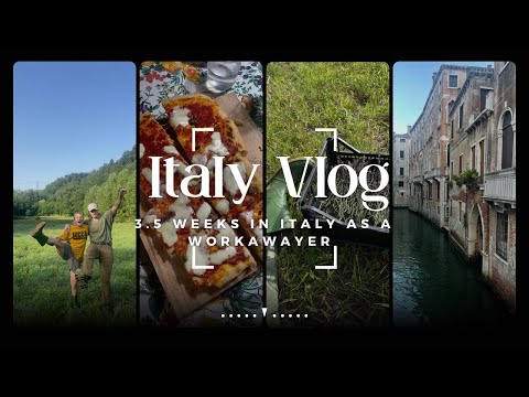 Our Lavender Farm Chronicles in Italy | First Workaway Adventure
