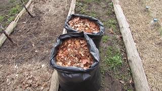Рыбалка на чистом воздухе в тени садовых яблонь
