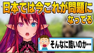日本の現状を知って驚くアイリス【英語解説】【日英両字幕】