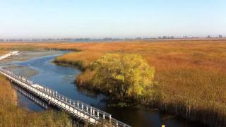 preview picture of video 'Impressions of Point Pelee in October'