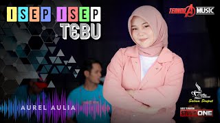 Download lagu ISEP ISEP TEBU | Aurel Aulia | TERNODA MUSIC mp3
