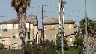 Cell towers are killing the palm trees in California and all of us
