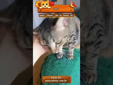 Vídeo de Alice