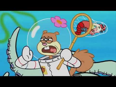 WRJ Story 2 Part 18 Luigi vs King K Rool/Rescuing Sandy