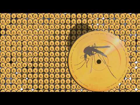 Acidevice – Nothing Lasts Forever  [ Yellow Fever 08 ]