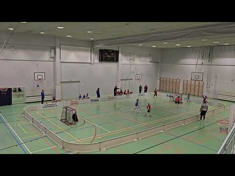 KoPa P10 maalikooste Lemi 22.3.2025