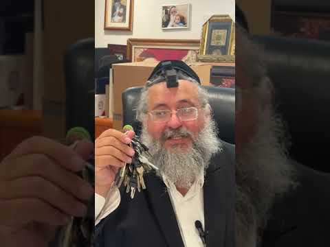 דקה עם החיד"א-גם לרמב״ן היו שאלות וזו התשובה שהוא קיבל