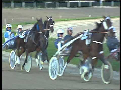 Trotto 01/12/2015 - 4° corsa