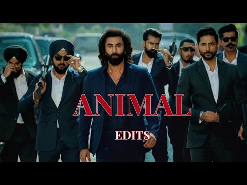 ANIMAL EDITS.. 🔥 | RANBIR KAPOOR | #trending #animal #edit #ranbirkapoor
