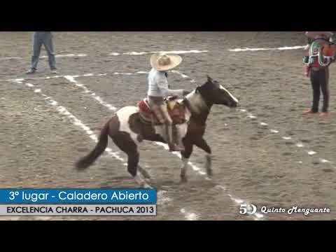 3° Lugar Caladero Abierto en el Torneo Excelencia Charra Pachuca 2013