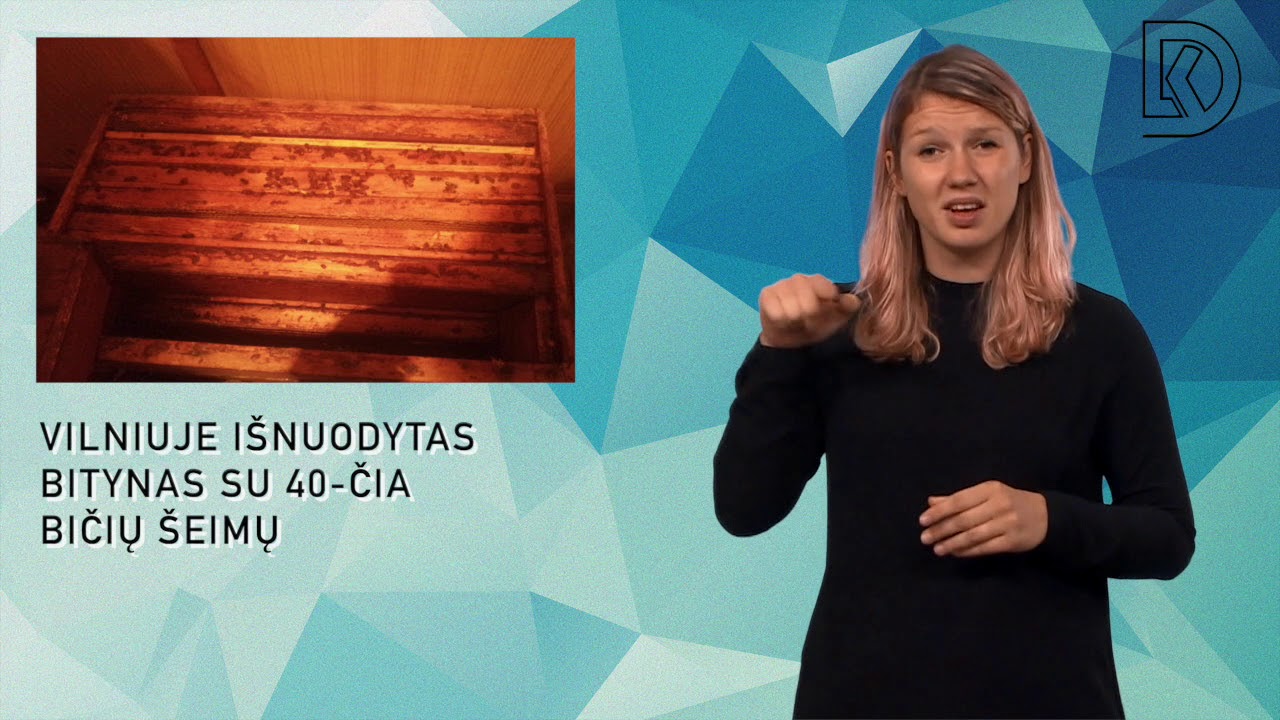 Vilniuje išnuodytas bitynas su 40-čia bičių šeimų