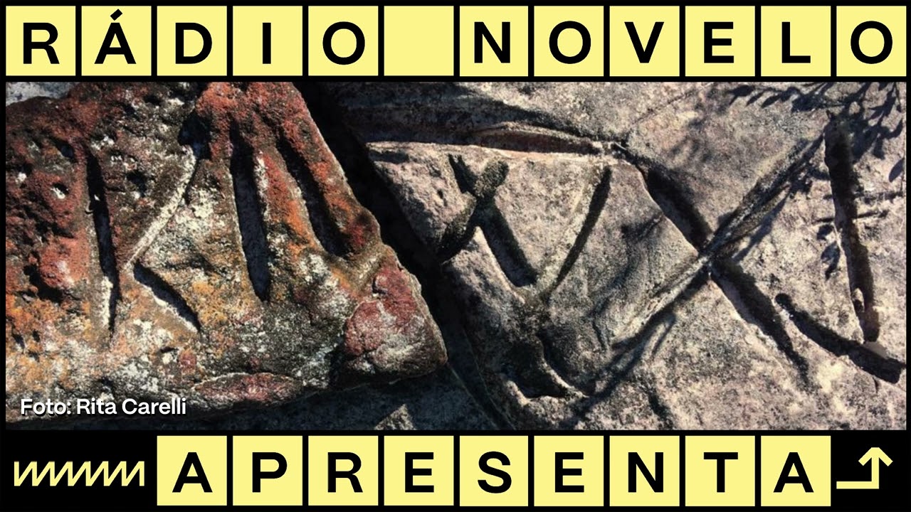 O barraco do Vicente