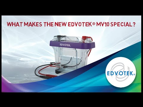 SDS-PAGE Made Simple:  The New Edvotek® MV10