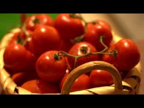 Inaugurazione locale "I Maestri del gusto" - Salerno