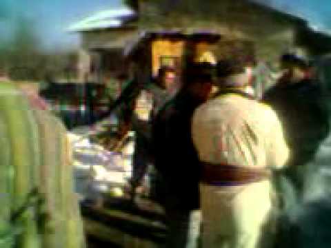 PLUGUL  COSMINELE 2013