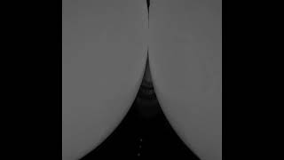 Death Grips - Ring A Bell (𝙎𝙇𝙊𝙒𝙀𝘿 + 𝙍𝙀𝙑𝙀𝙍𝘽)