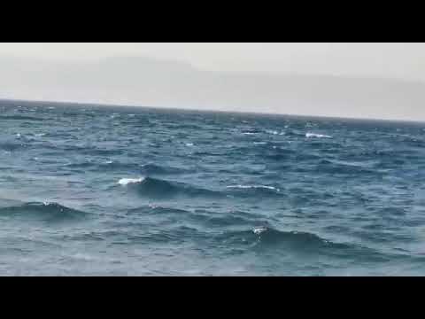 #@ Rakhi Sawant & Adilkhan Durrani spotted at Beach.