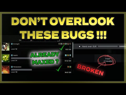 BSG Speaks as more bugs pop up - Tarkov News and Updates