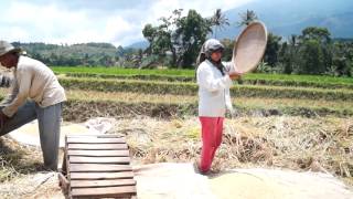 preview picture of video 'Profile Desa Wisata Cibuntu, Pasawahan, Kuningan, Jawa Barat'