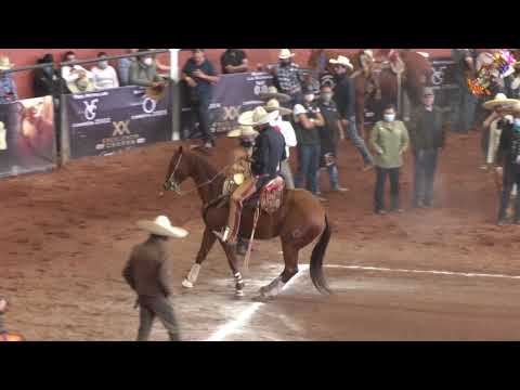 BRAULIO ARREDONDO EXXCH21