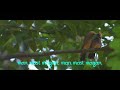 Man Mast Magan Whatsapp Status Song Nautre Morningfeel