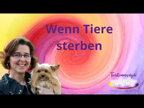 Tierkommunikation – Wenn Tiere sterben... 🌈 💔