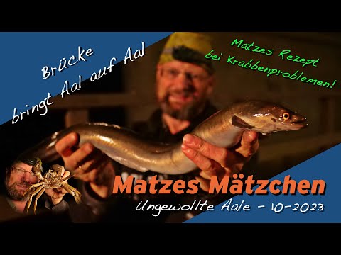 Matze Koch: Aal trotz Krabbenterror - Matzes Mätzchen 10-2023