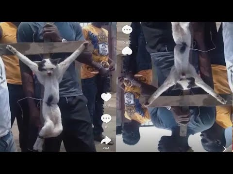 Dream meaning of CRUCIFIX in a Mirror