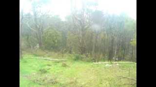 preview picture of video 'Very light snow falling on Mt Lofty summit 23rd Aug 2012'