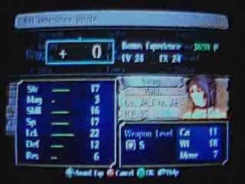 How I train Non-Royal Laguz in Radiant Dawn